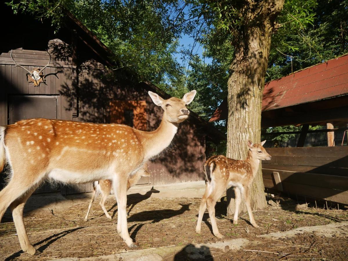 Penzion Obora Prostřední Bečva Dış mekan fotoğraf