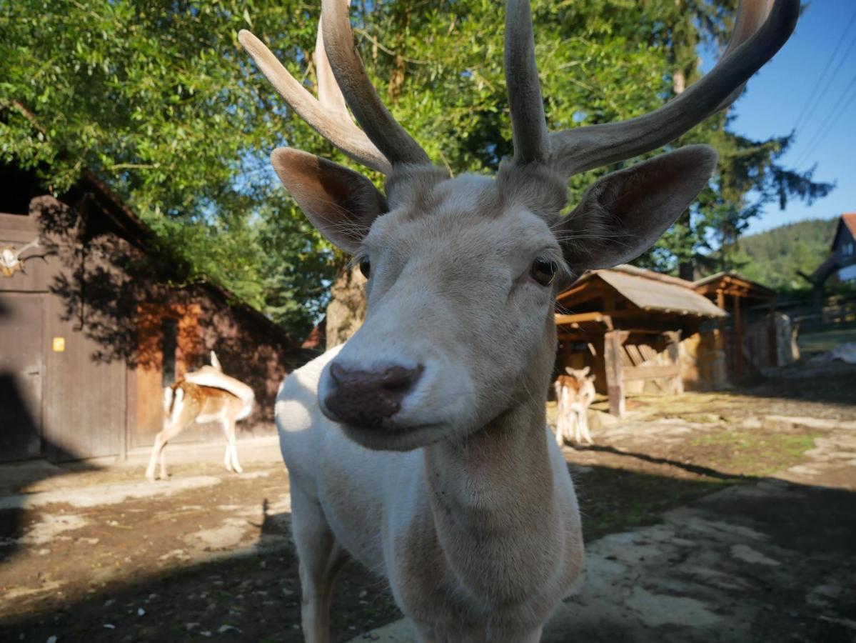 Penzion Obora Prostřední Bečva Dış mekan fotoğraf