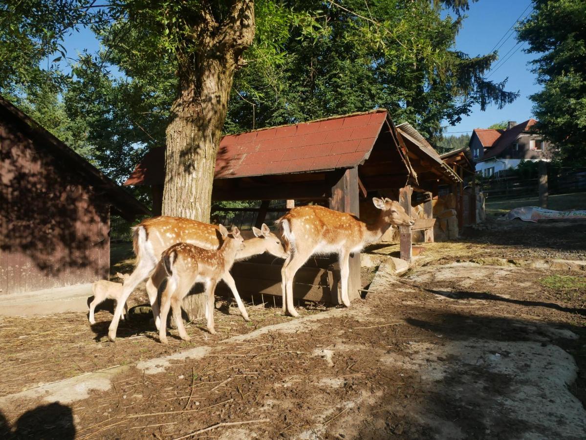 Penzion Obora Prostřední Bečva Dış mekan fotoğraf