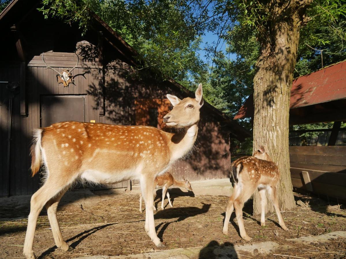 Penzion Obora Prostřední Bečva Dış mekan fotoğraf